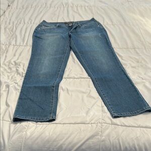 Cato Women's Straight Leg Blue Jeans